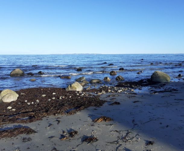 Sten på strand til gravsten. Lav en personlig og billig gravsten