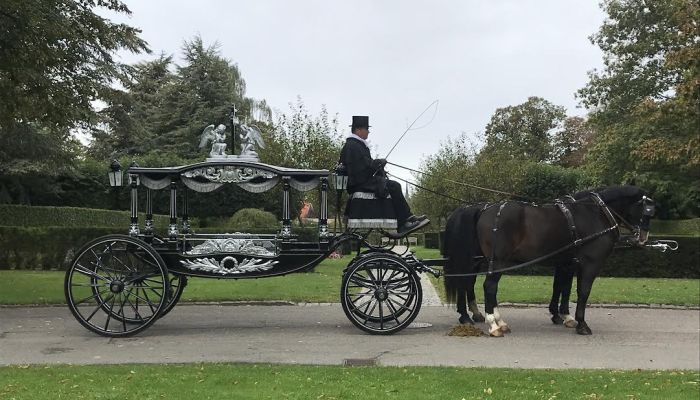 Unik og flot begravelse med hestetrukken rustvogn